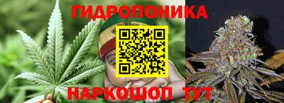 молекула духа Бузулук