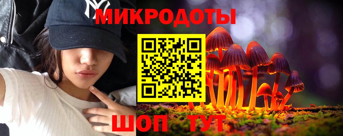 Псилоцибиновые грибы Psilocybe Учалы